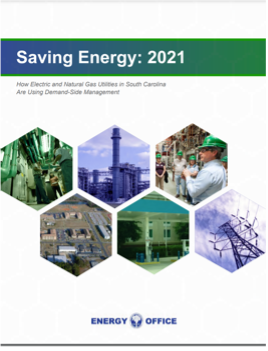 Saving Energy: 2021 DSM Report Cover