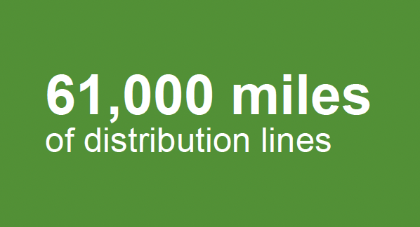 61,000 miles of distribution lines